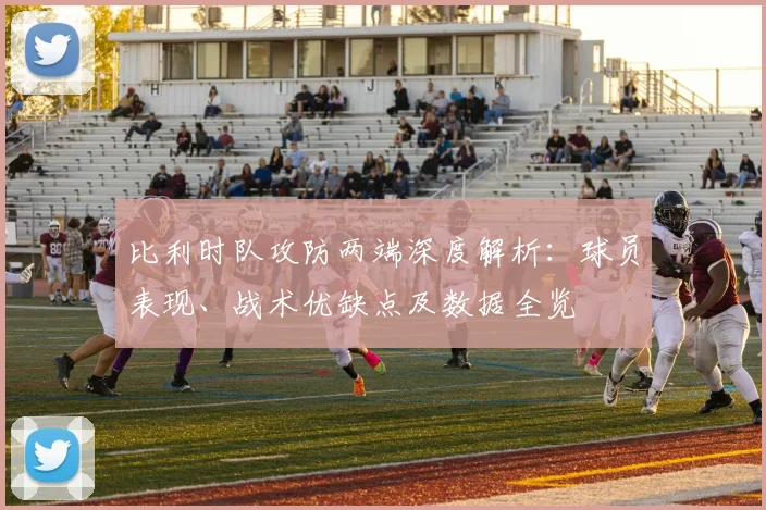 比利时队攻防两端深度解析:球员表现、战术优缺点及数据全览